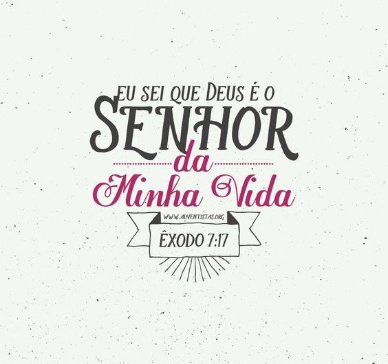 Galeria Teste